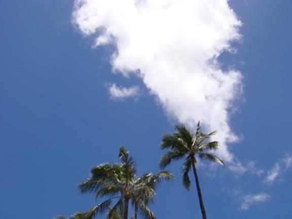 Kailua Beach☆☆☆_b0139906_15493098.jpg