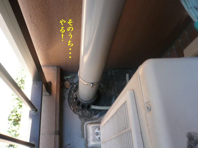 e0094407_012399.jpg