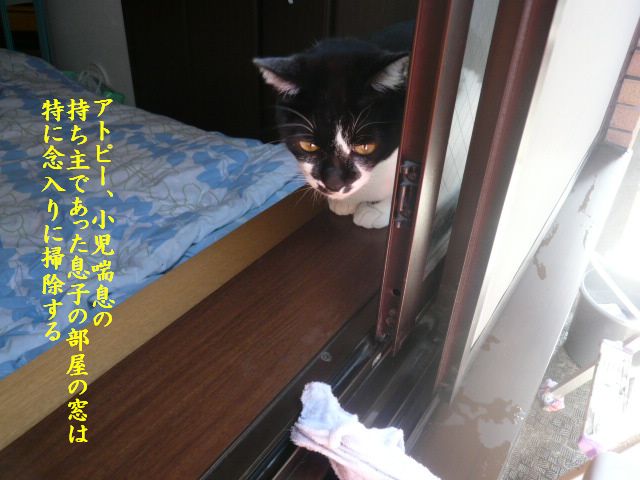 e0094407_0155349.jpg