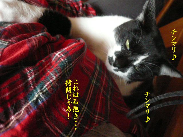 e0094407_0283396.jpg