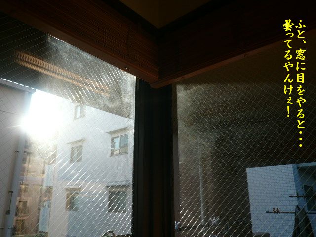 e0094407_030390.jpg