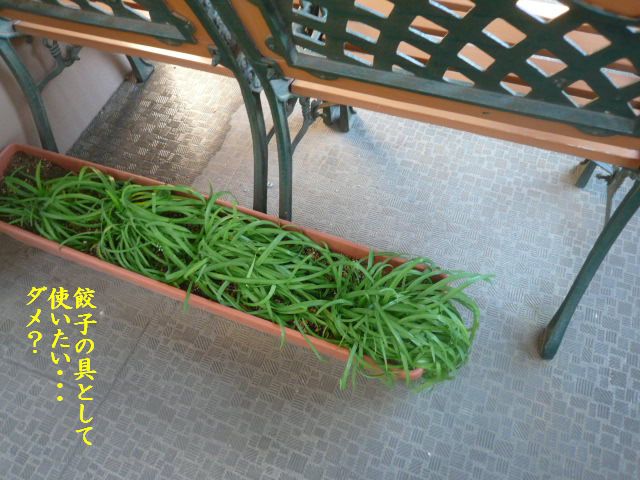 e0094407_031774.jpg