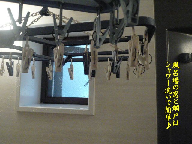 e0094407_0361812.jpg