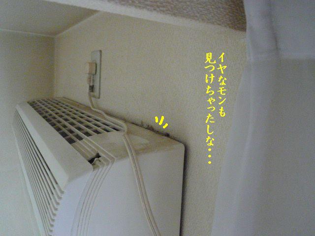 e0094407_0445268.jpg