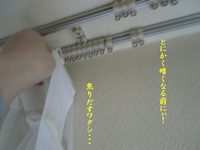 e0094407_0463676.jpg