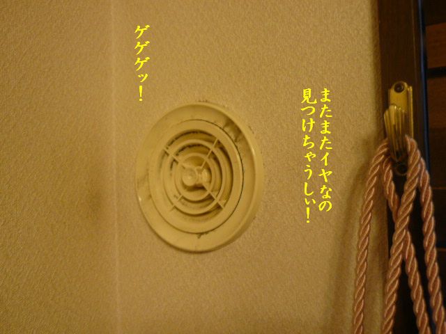 e0094407_0543324.jpg