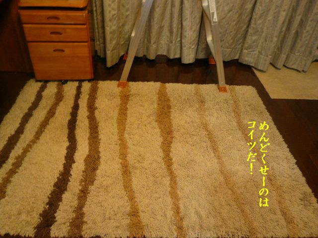 e0094407_1141821.jpg