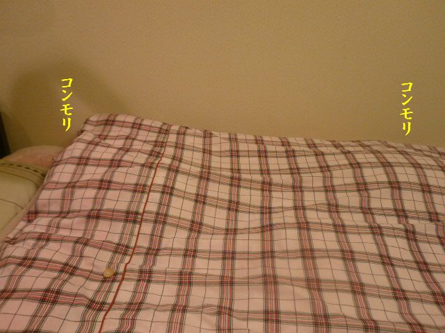 e0094407_1245110.jpg