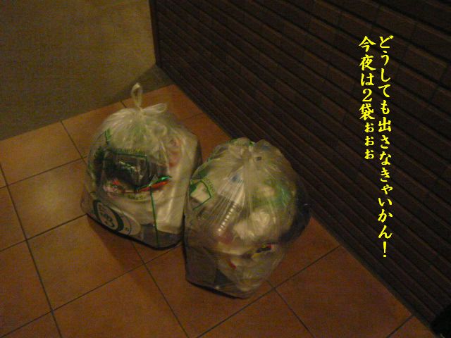 e0094407_1375840.jpg