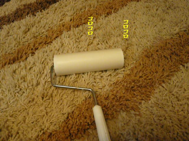 e0094407_2105611.jpg