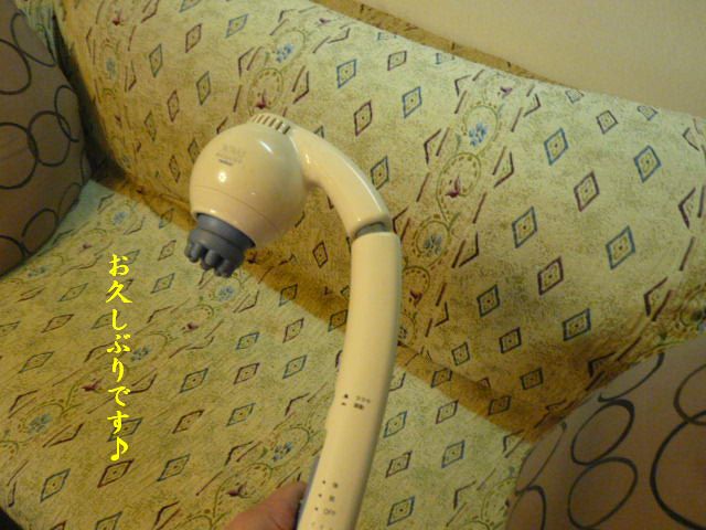 e0094407_21380.jpg