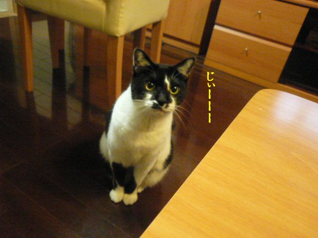 e0094407_231379.jpg