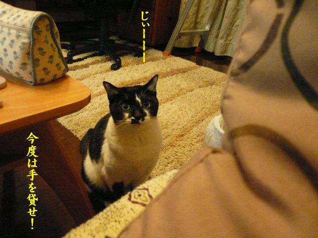 e0094407_2459.jpg