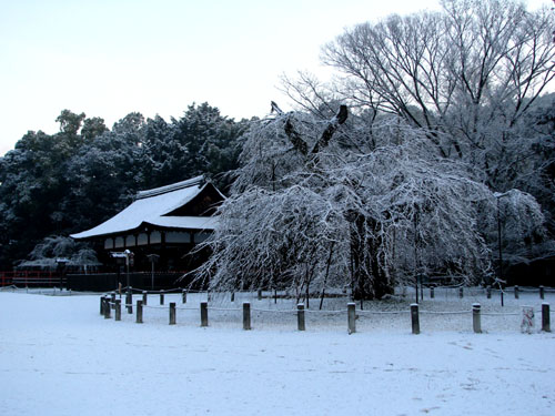 上賀茂神社　雪景色_e0048413_158370.jpg