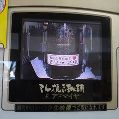 c0177814_1055174.jpg