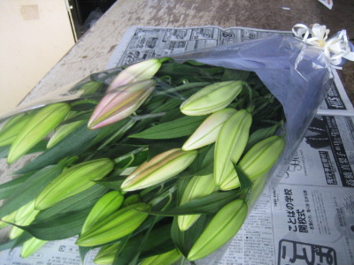 今日の花束_f0067514_19232826.jpg