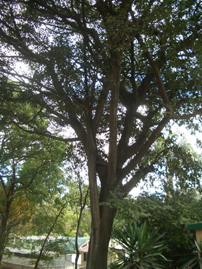 c0157323_2217226.jpg