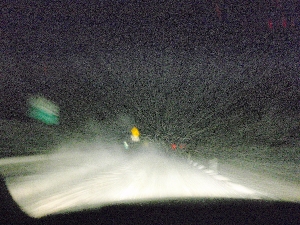 b0156430_20484780.jpg