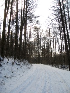c0090236_22381897.jpg