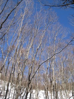c0090236_2238404.jpg
