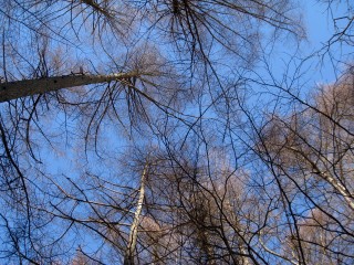 c0090236_2242930.jpg