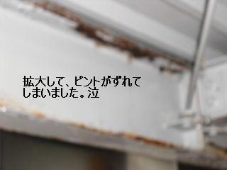 f0031037_19593231.jpg