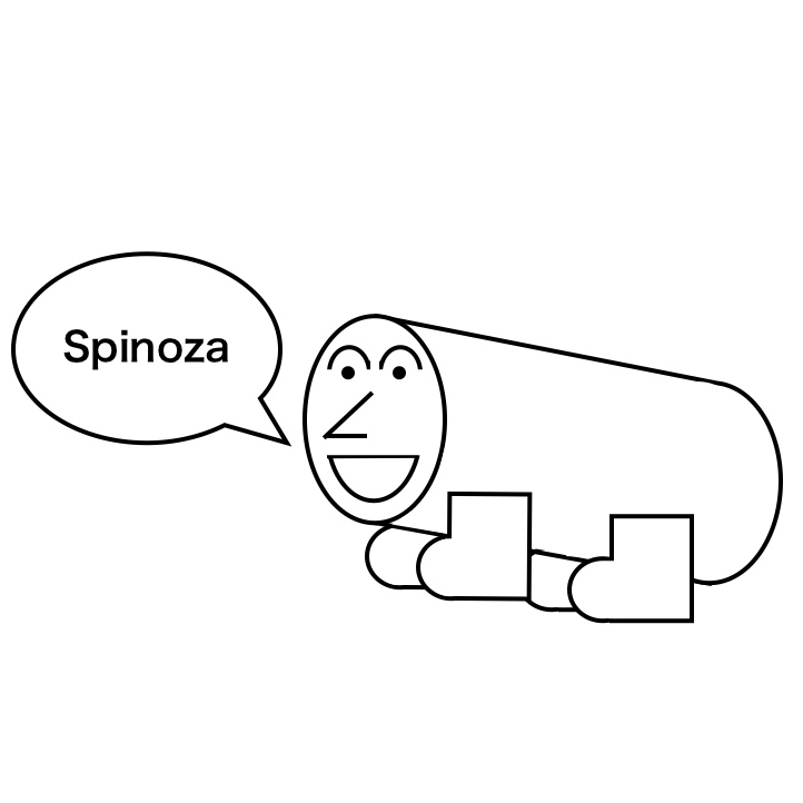 Spinoza Weblog Open !!!_c0192245_11251592.jpg
