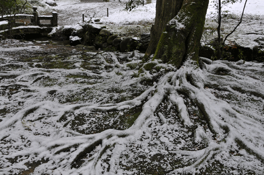 兼六園、09.1(Ⅶ)_c0093046_20364591.gif