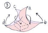 バレンタインの包装_e0105047_16202292.jpg