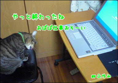 今日はPC　…_d0139352_0145175.jpg