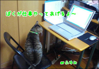 今日はPC　…_d0139352_065016.jpg