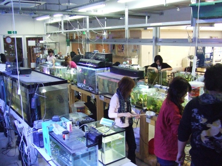 こんな感じです きてみてkap 神戸動植物環境専門学校ブログ