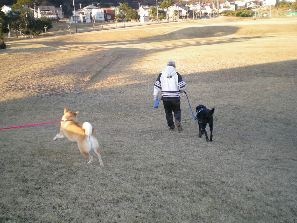 f0060461_20102740.jpg