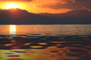 f0158364_13411390.gif