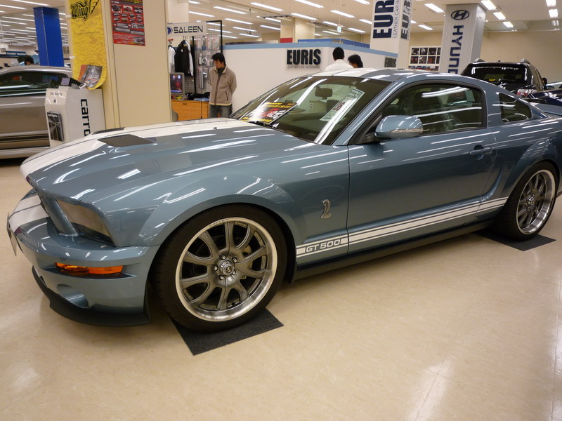 c0084268_8441158.jpg