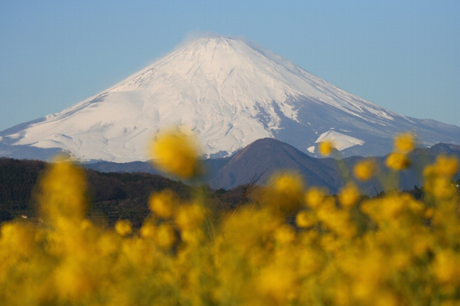 b0084270_21286.jpg