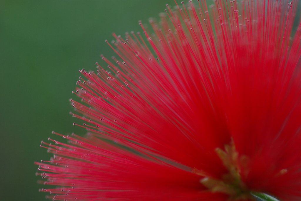 Botanischer Garten_f0169170_05113.jpg