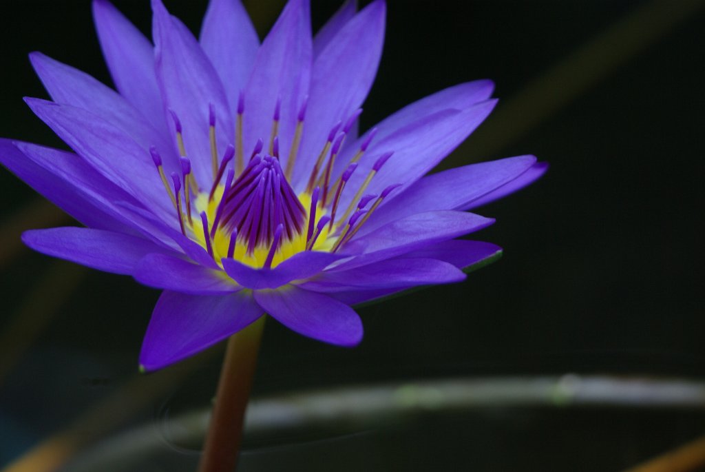 Botanischer Garten_f0169170_073410.jpg