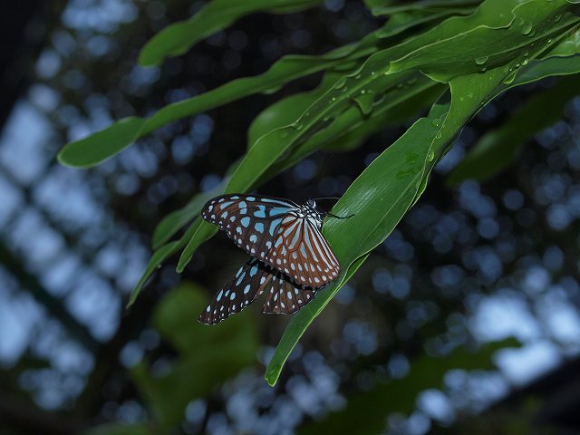 b0135573_15534053.jpg