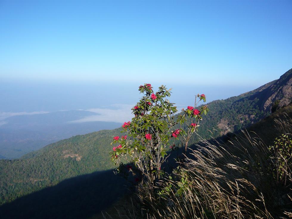 f0178278_2256892.jpg