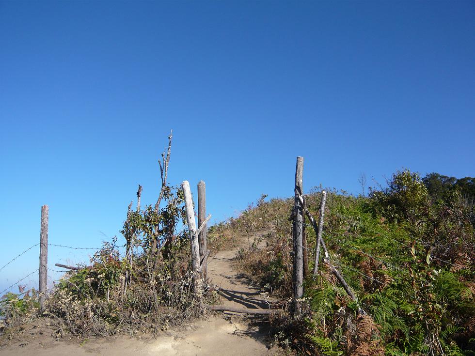 f0178278_230599.jpg