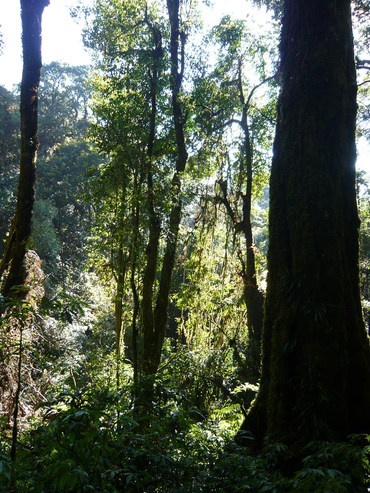 f0178278_231365.jpg