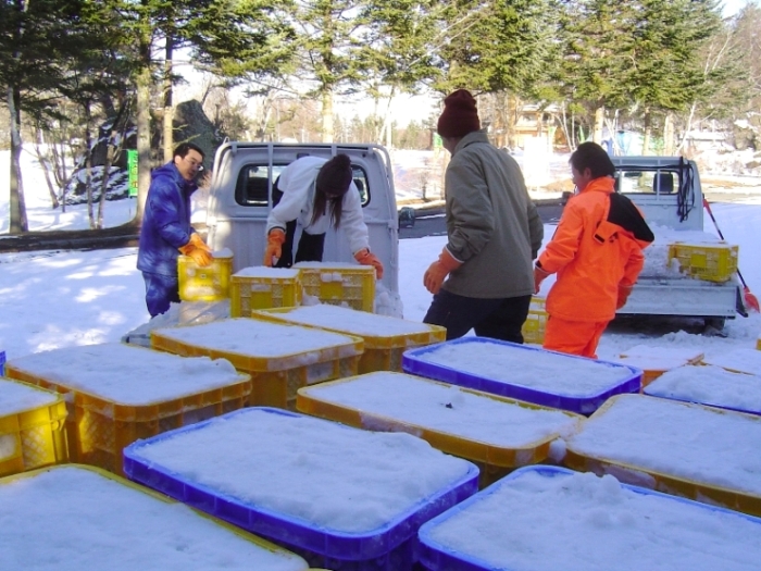 ぴーかんの空と雪のブロック_f0180878_22335175.jpg