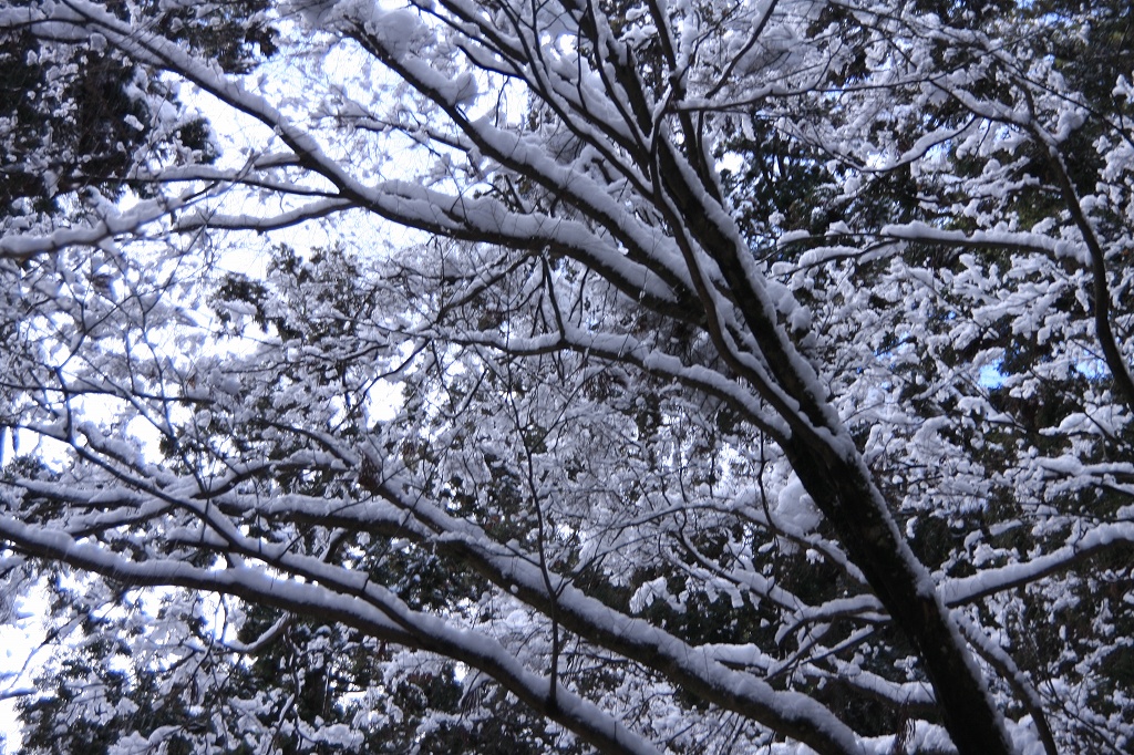 e0024081_16212633.jpg