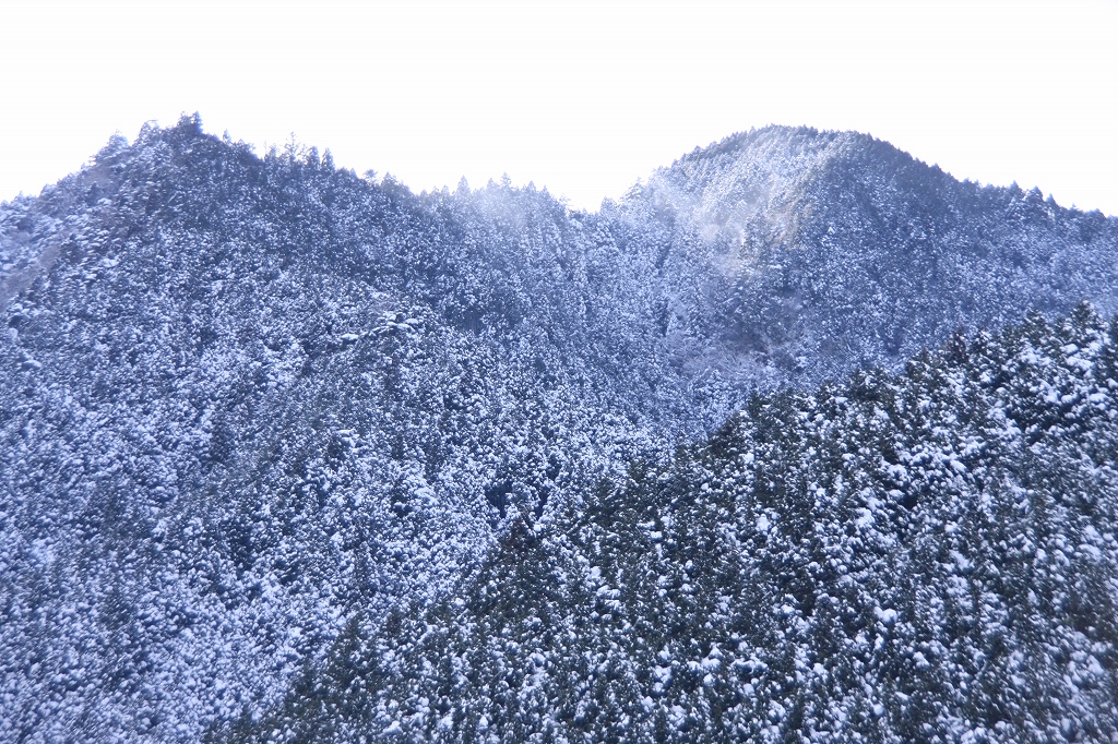 e0024081_16215736.jpg