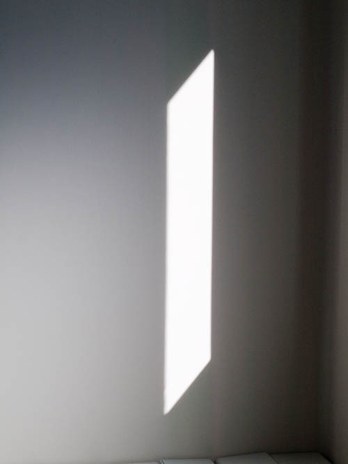 c0002682_1136996.jpg