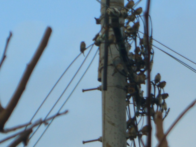 d0072395_18583661.jpg
