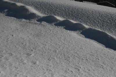 雪の波　_e0166395_10152396.jpg