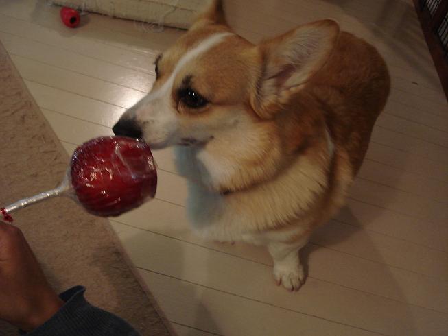 f0075595_0364377.jpg