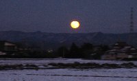 e0122199_1717567.jpg